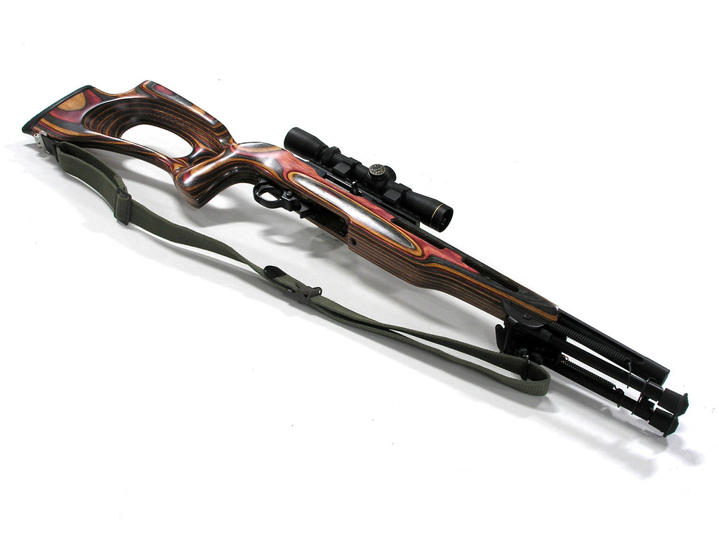 Ruger 10/22